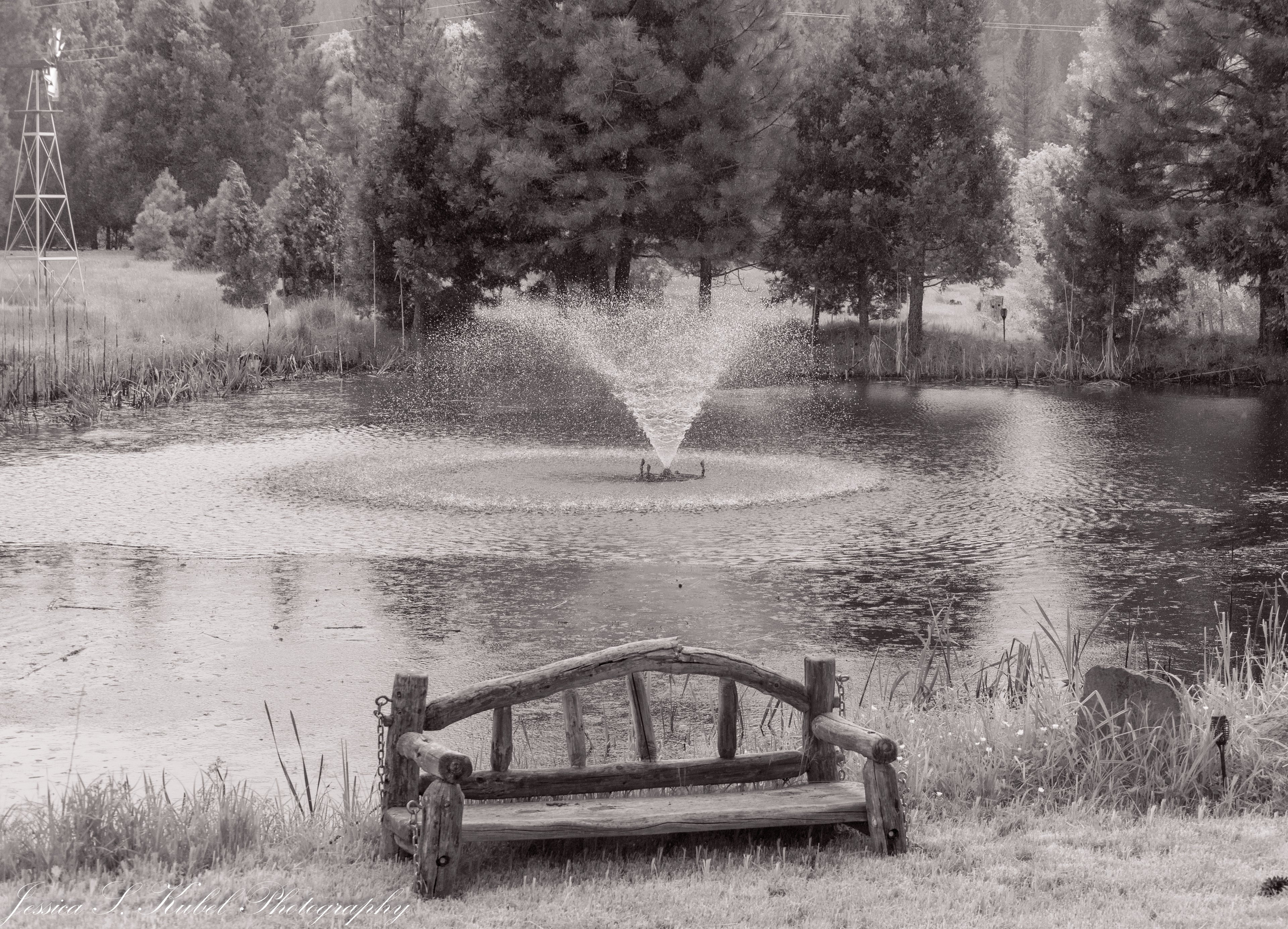 Wooden bench by a pond with a fountain, surrounded by trees