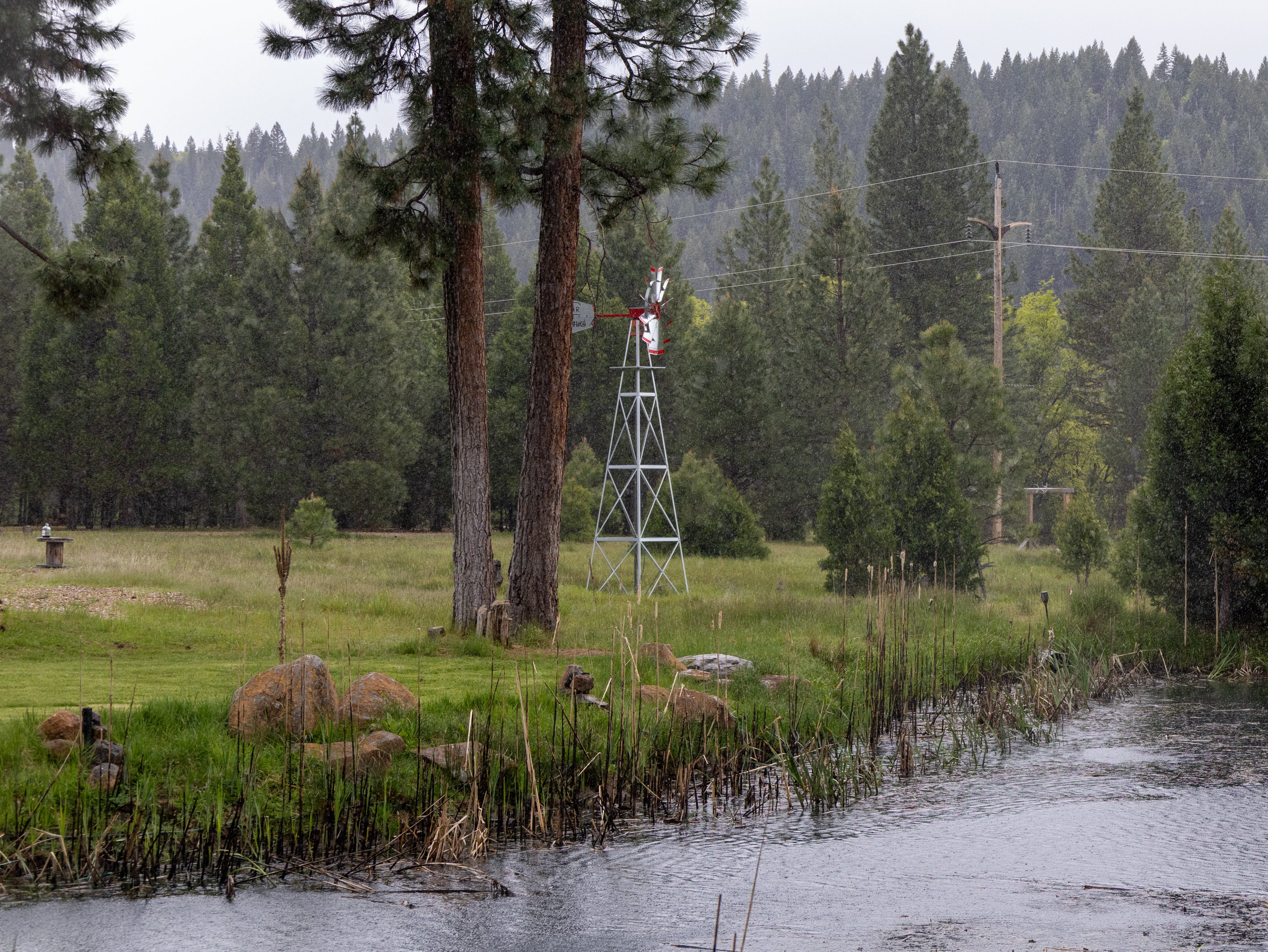 Pond surrounded by trees and a small tower in a forested area