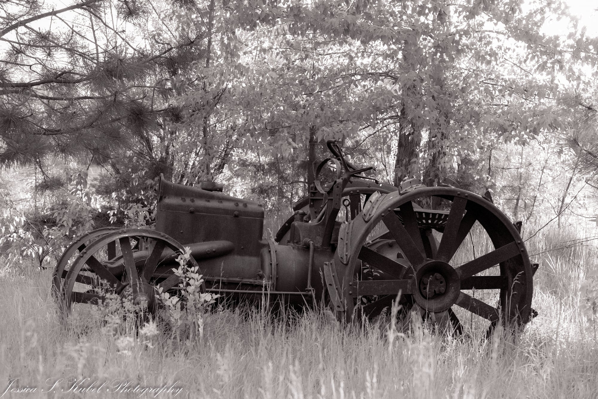 Vintage tractor in a forest setting